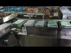 Fully Automatic Aluminum Foil Paper Cartoning Machine